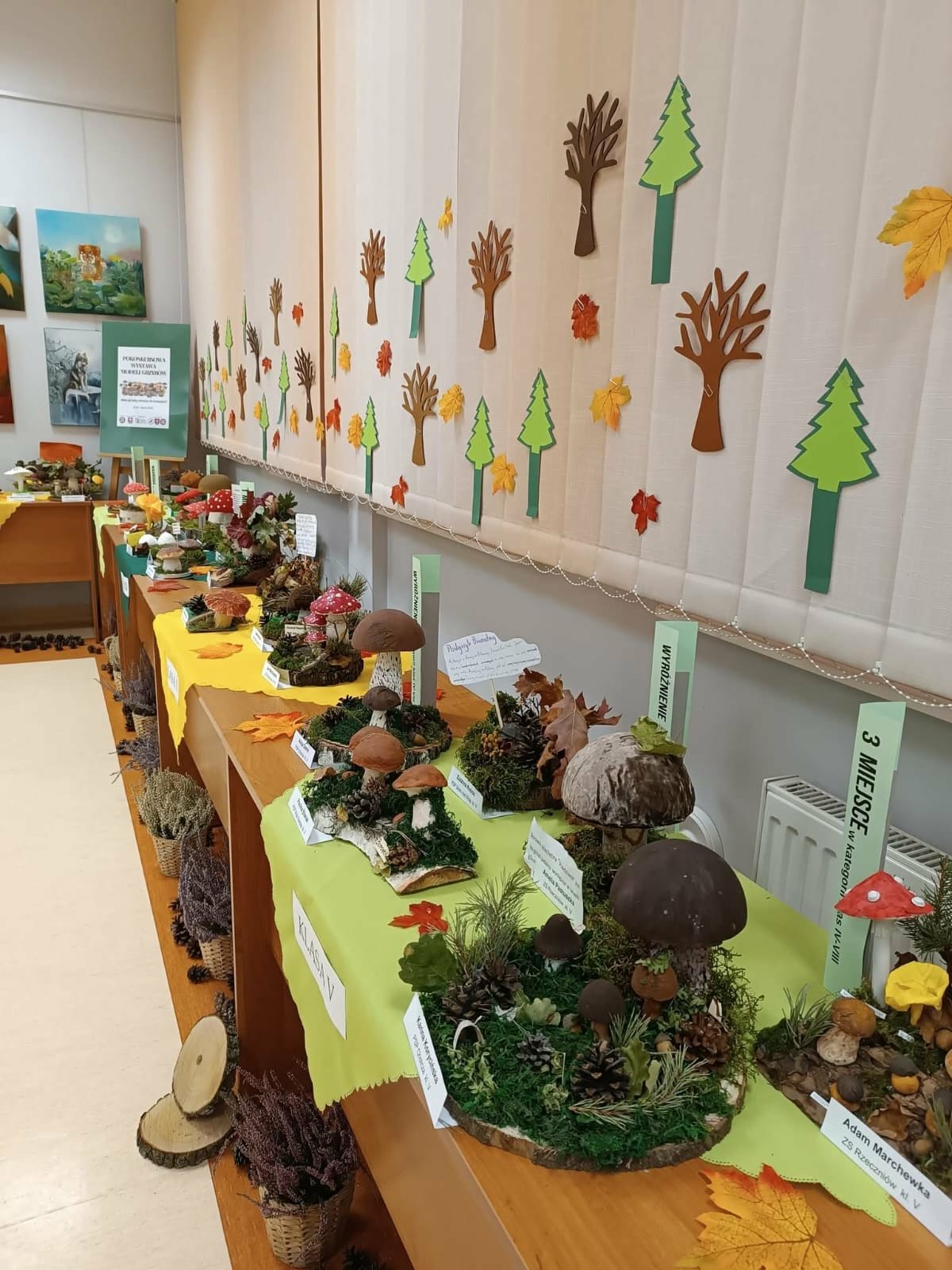 POWIATOWY KONKURS PLASTYCZNY „JAKIE GRZYBY WŁOŻYC DO KOSZYKA”